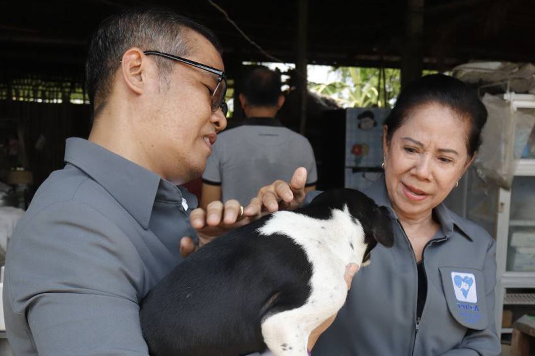 อุปนายก TSPCA ลงพื้นที่ช่วยเหลือสัตว์