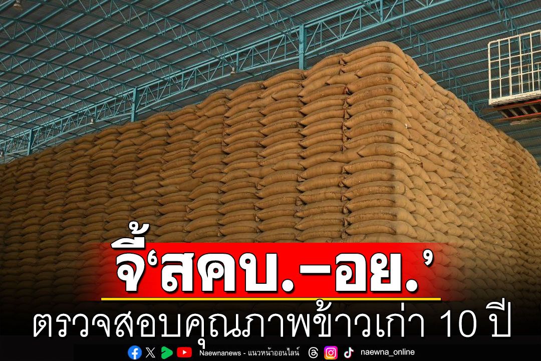 'สคบ.-อย.'ทำอะไรอยู่! 'วิรังรอง'จี้ตรวจสอบคุณภาพข้าวเก่า 10 ปี ที่จะเปิดประมูลขาย