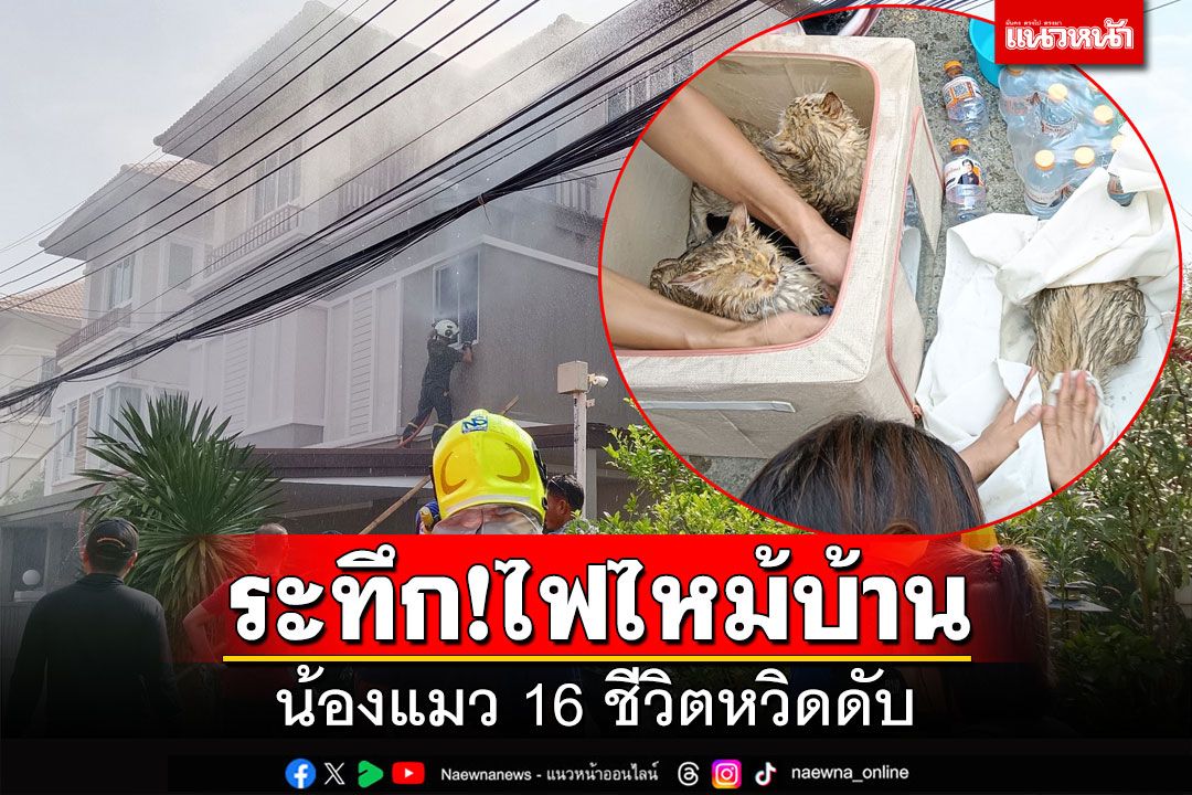 ระทึก!ไฟไหม้บ้าน น้องแมว 16 ชีวิตหวิดดับ โชคดีช่วยทัน