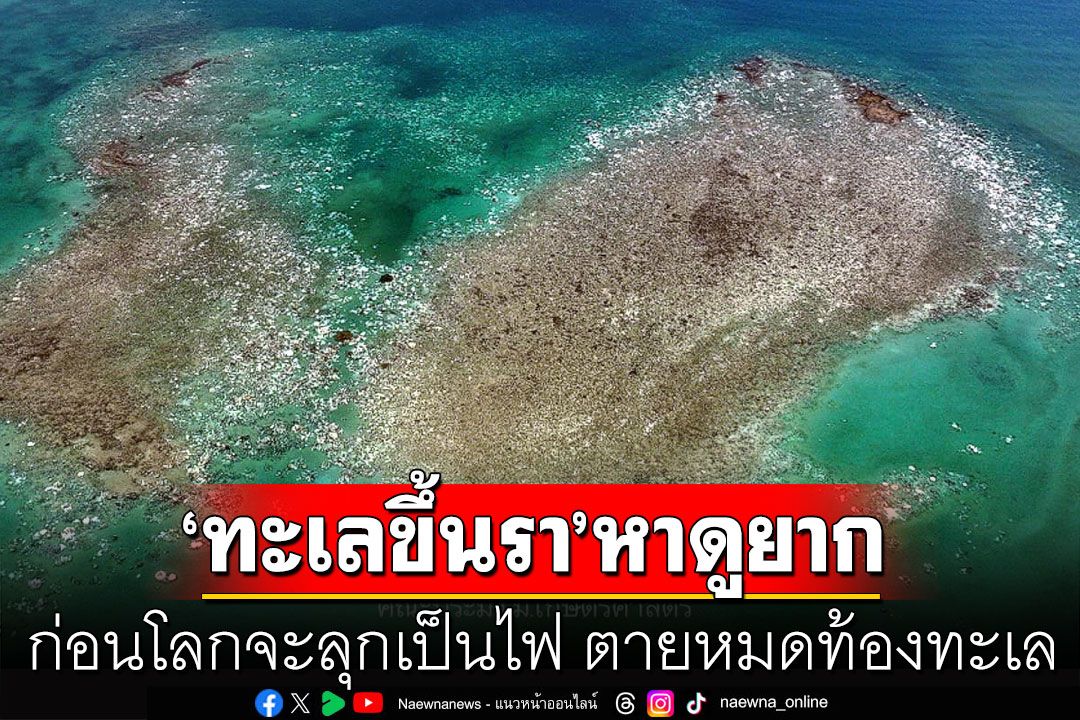 ภาพหาดูยากยิ่ง 'ทะเลขึ้นรา' ก่อนโลกจะลุกเป็นไฟ ตายหมดท้องทะเล