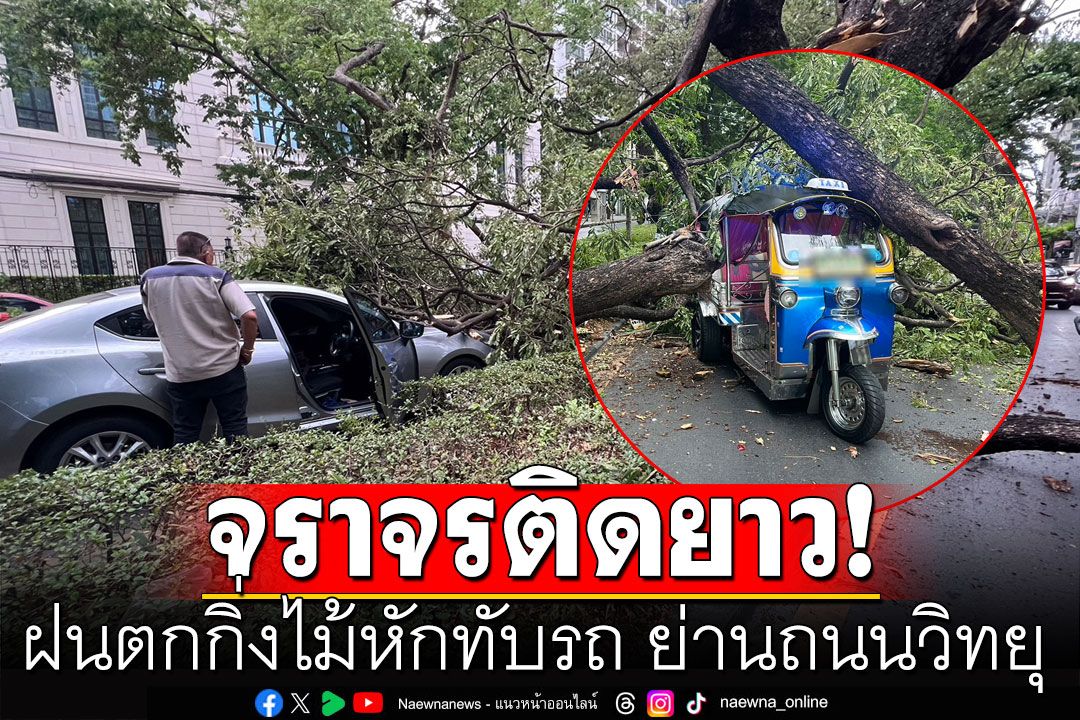 ฝนตกกิ่งไม้หักทับรถ ย่านถนนวิทยุ แยกเพลินจิต ทำจราจรติดยาวเหยียด