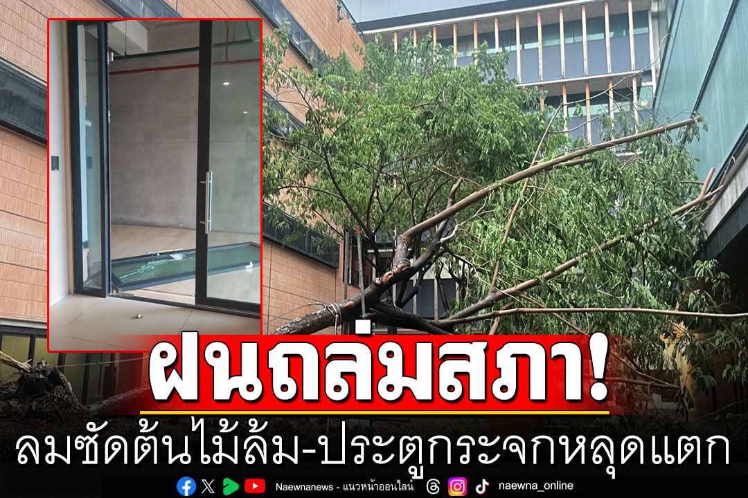 ฝนถล่มสภาหมื่นล้าน ลมซัดต้นไม้ล้ม ประตูกระจกชั้น 9 หลุดแตก