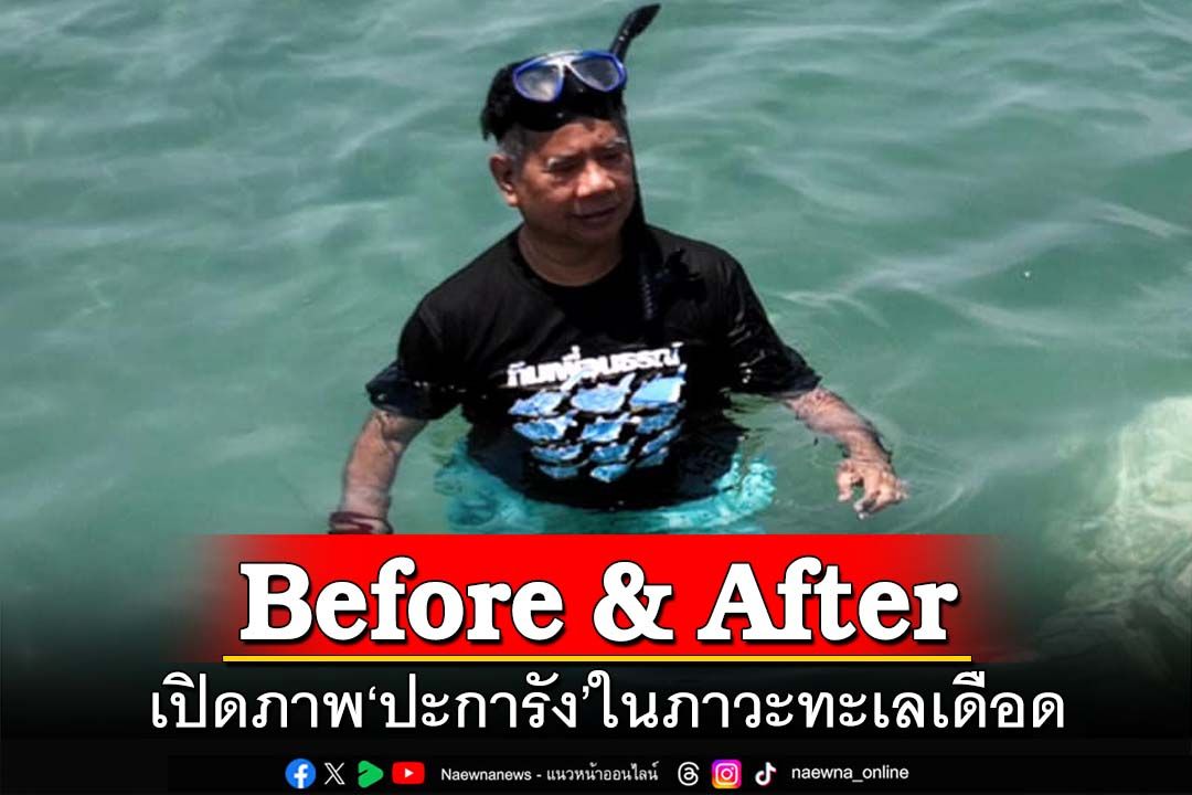 Before & After!‘อ.ธรณ์’เปิดภาพหาดูยาก ‘ปะการัง’ในภาวะโลกร้อนทะเลเดือด