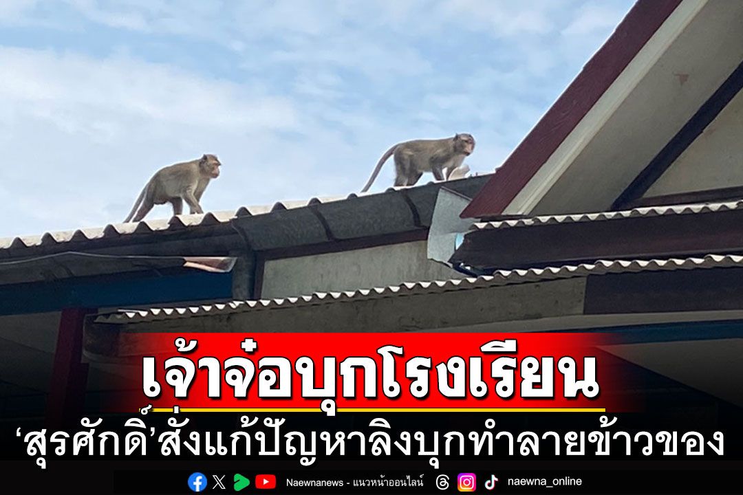 'สุรศักดิ์'สั่งแก้ปัญหาลิงบุกโรงเรียนทำลายข้าวของ จัดงบฯซ่อมแซม