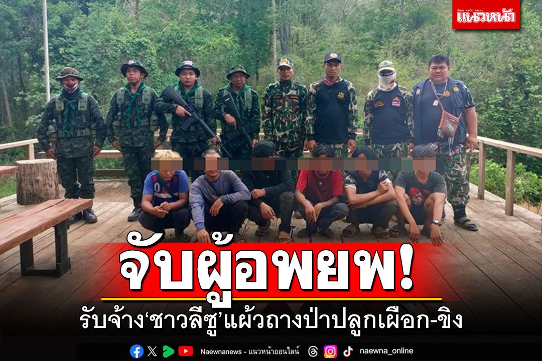 จับผู้อพยพ! รับจ้างชาวลีซู แผ้วถางป่า'ปลูกเผือก-ขิง'