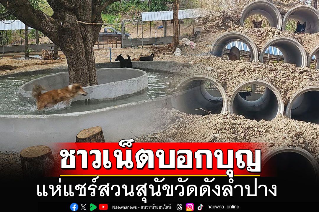 ชาวเน็ตแห่แชร์โครงการสวนสุนัขวัดเวฬุวนาราม ลำปาง เปลี่ยนสถานะจากสุนัขจรสู่สุนัขวัด