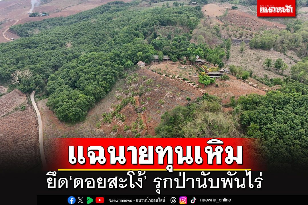 เหิมเกริมจริงๆ!!! แฉนายทุนยึด'ดอยสะโง้' บุกรุกป่านับ 1,000 ไร่ สร้างรีสอร์ท