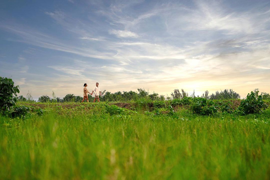 แมริออทฯ เดินหน้าหว่านเมล็ดพันธุ์แห่งความยั่งยืนในภาคใต้ของไทย ด้วยการเปิดตัว 'เจดับบลิว การ์เด้น' ที่เขาหลัก