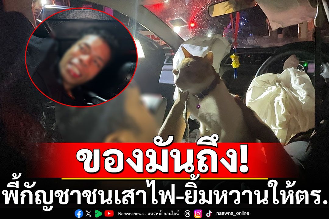 หนุ่มพี้กัญชาเมาหนัก ขับรถชนเสาไฟฟ้า นอนกอดแมวยิ้มหวานให้ตำรวจ