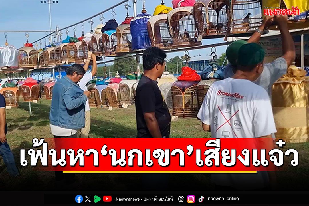 สีสันแข่งนกเขาชิงแชมป์! คัดสุดยอดนกเขาเสียงแจ๋ว ดีที่สุดตัวเดียวในไทย