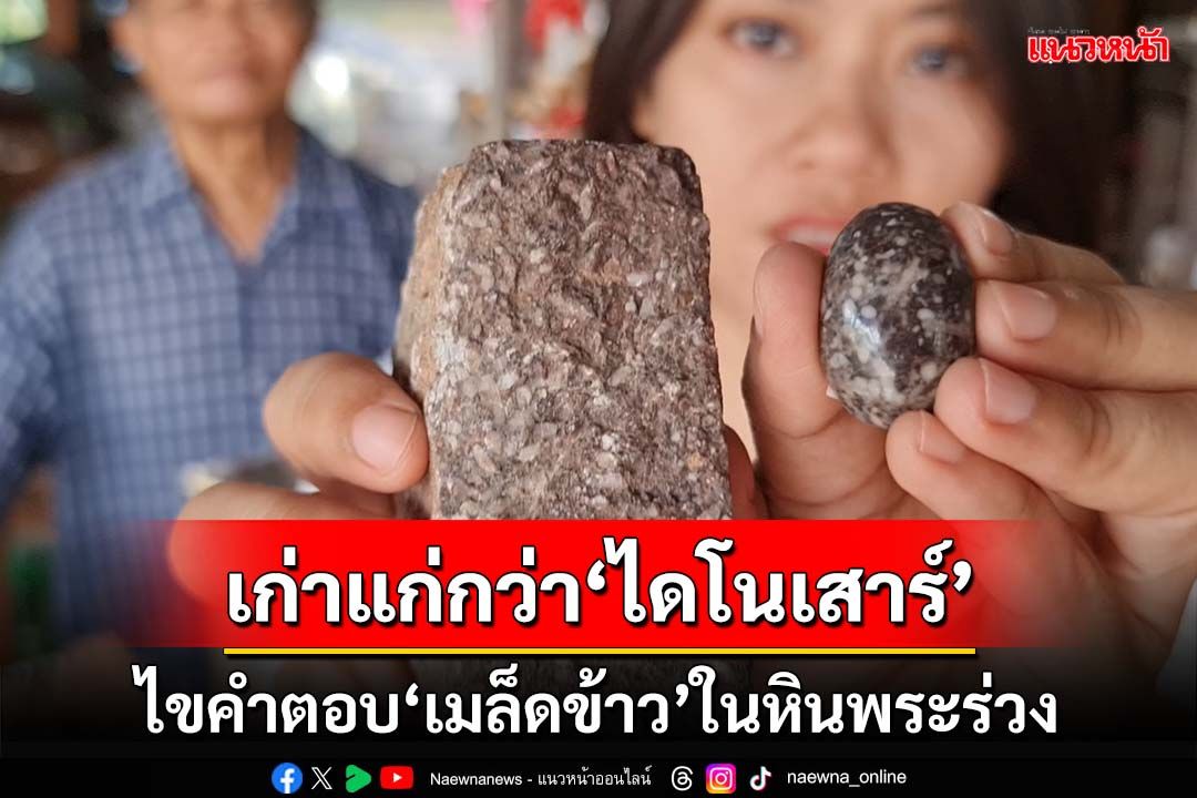 ไขคำตอบ‘เมล็ดข้าว’ในหินพระร่วง คือฟอสซิล‘ฟิวซูลินิด’ อายุ 359-252 ล้านปี