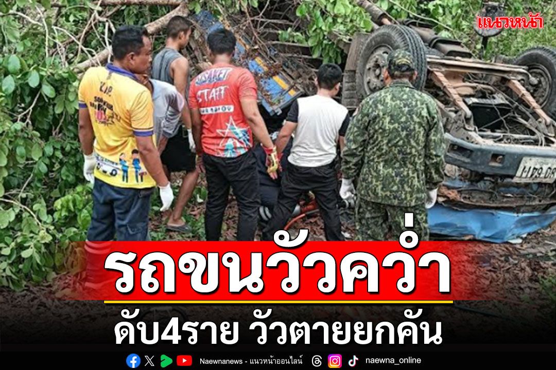 รถบรรทุกวัวคว่ำ! คนโดยสารในรถดับ 4 ราย วัวตายยกคัน