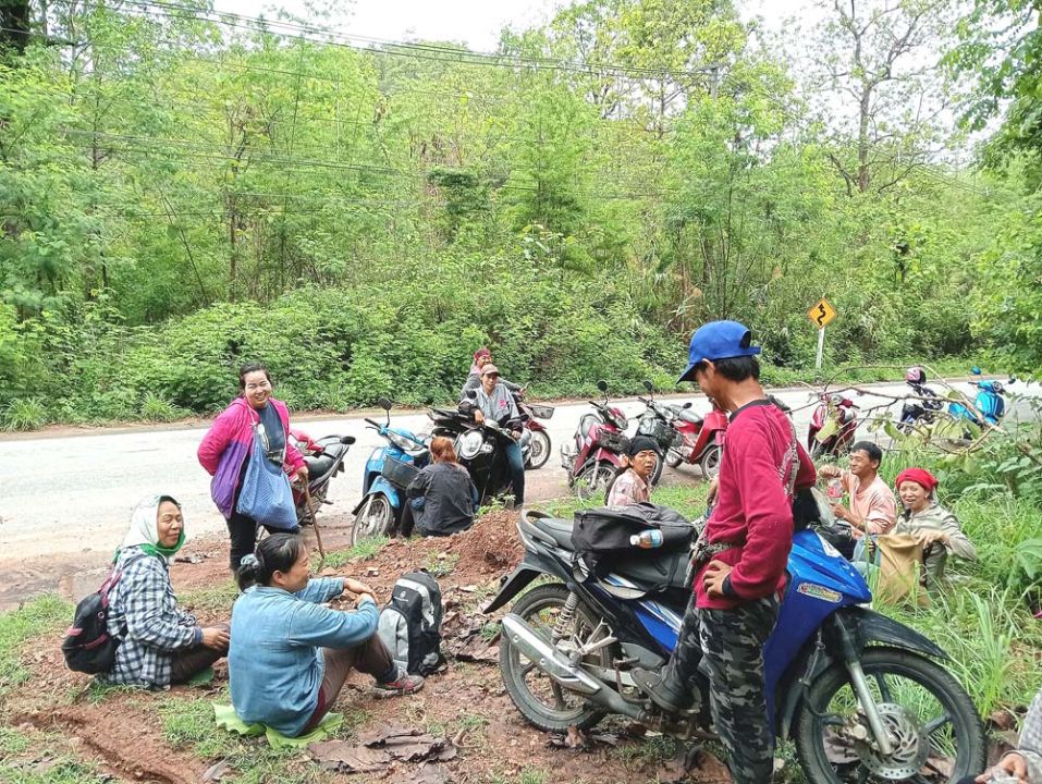 สกู๊ปพิเศษ : ต้นฝนสัญญาณเข้าสู่ฤดู ‘เห็ดถอบ’ ประชาชนที่เฝ้ารอ แห่เก็บอื้อ  ขายสร้างรายได้งาม ลิตรละ 100 บาท ทำธุรกิจส่งออกบูมตาม