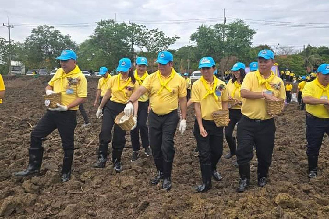 กระทรวงเกษตรฯ ร่วมปลูกหม่อน เฉลิมพระเกียรติสมเด็จพระนางเจ้าสุทิดา พัชรสุธาพิมลลักษณ พระบรมราชินี