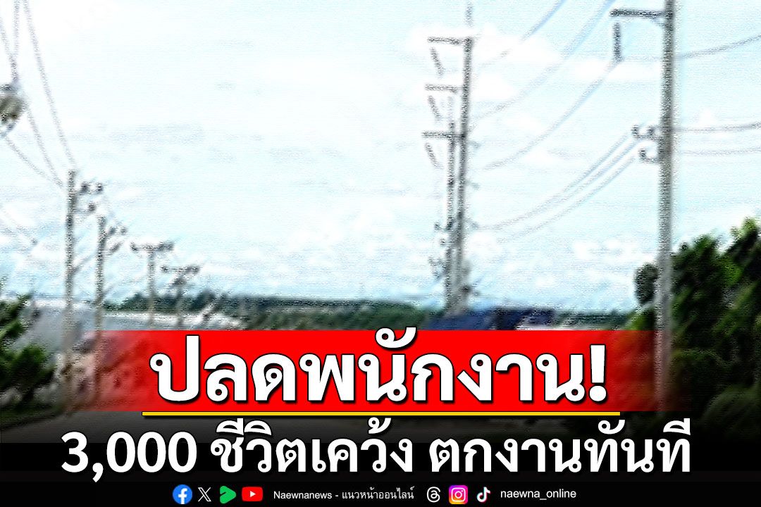 บริษัทดังปลดพนักงานซับ 3,000 ชีวิตเคว้ง ตกงานทันที เหตุปรับโครงสร้างภายใน