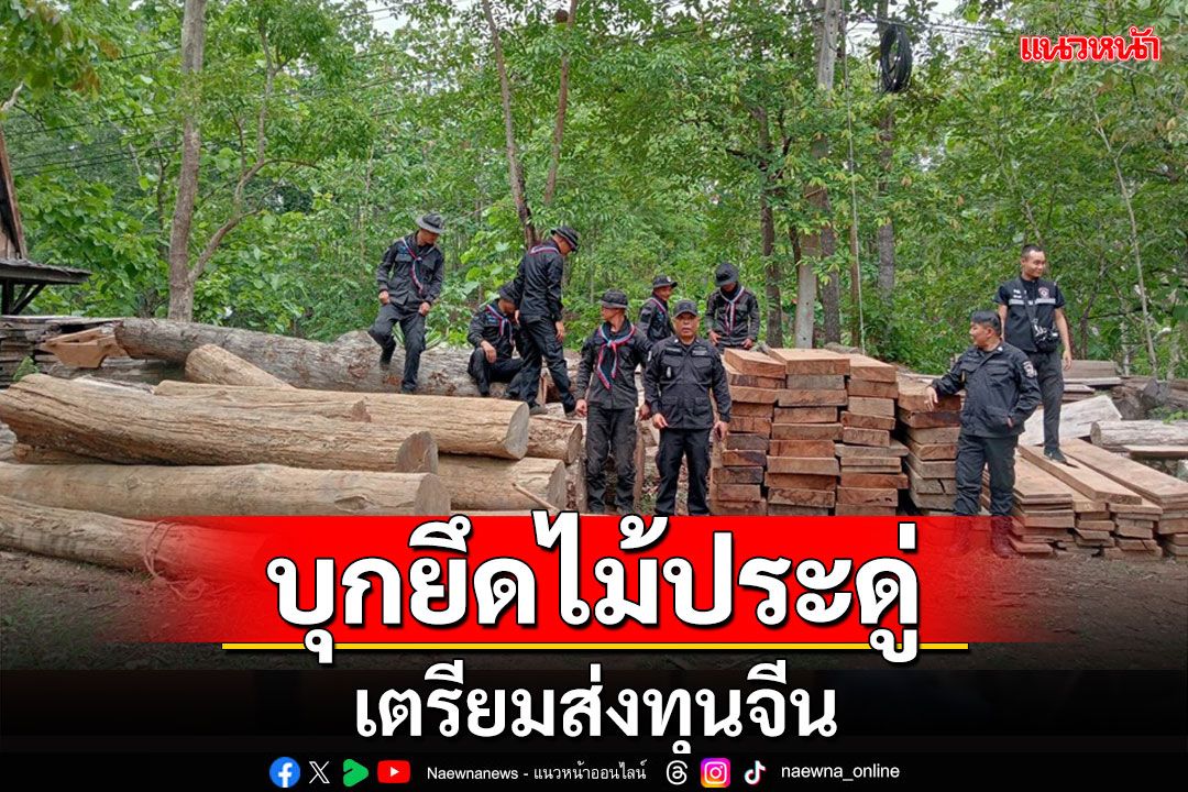 บุกยึดไม้ประดู่-สักทองซุกป่าพื้นที่แม่ลาน้อยเตรียมรอส่งนายทุนจีน