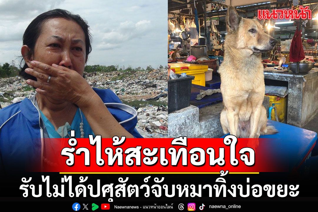 'แม่ค้า-อสม.'รับไม่ได้บุกแจ้งความ'ปศุสัตว์-จนท.'จับ 2 น้องหมาทิ้งบ่อขยะ ยังไม่รู้ชะตากรรม