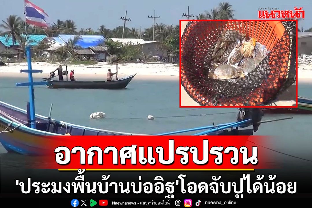 'ประมงพื้นบ้านบ่ออิฐ'โอดจับปูได้น้อยลงหลังสภาพอากาศแปรปรวน