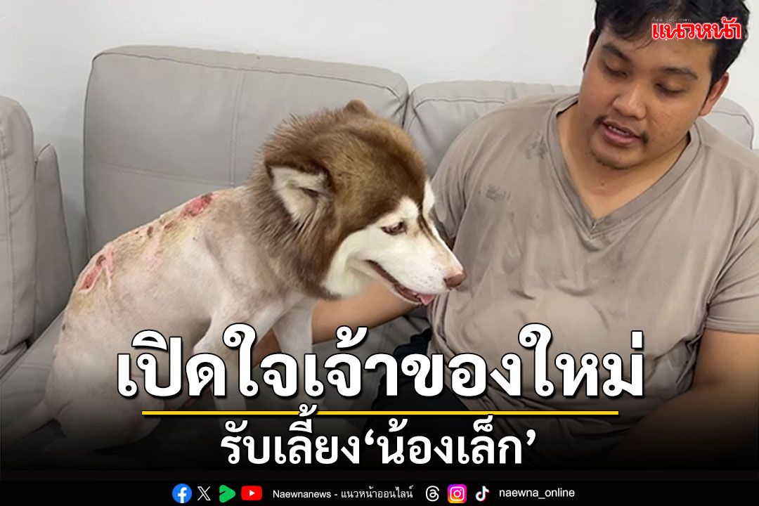 เปิดใจเจ้าของใหม่! รับเลี้ยง'น้องเล็ก' หมาไซบีเรียนโดนสาดน้ำร้อนเหวอะหวะ