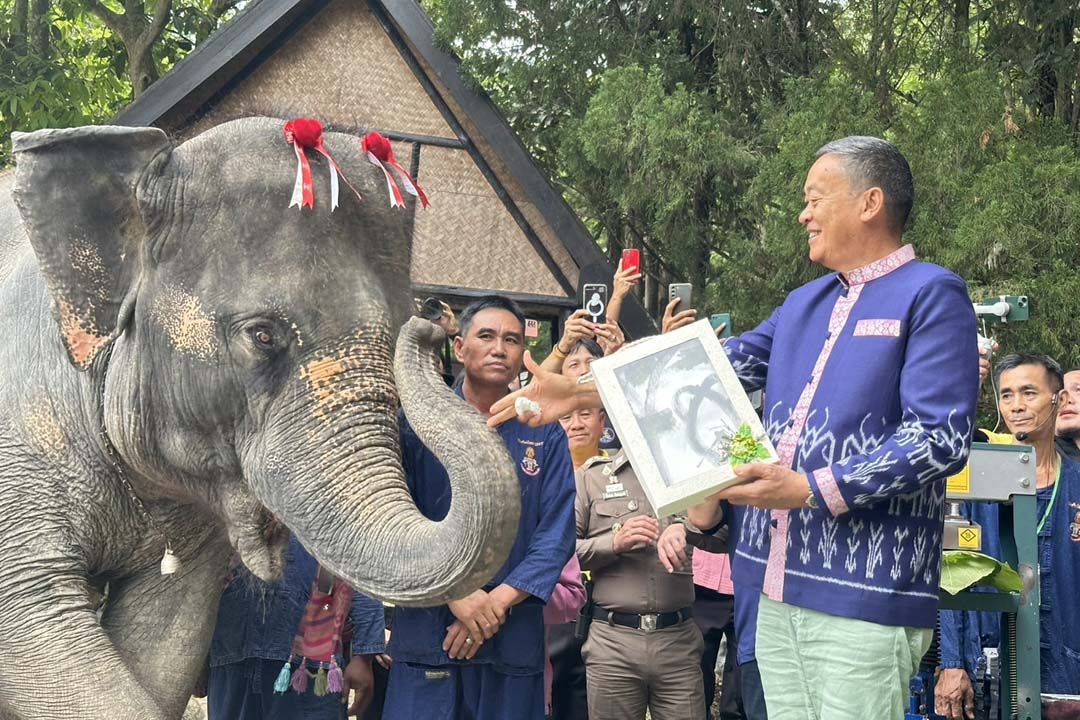 ‘นายกฯ’ลุยต่อเมืองลำปาง ตรวจโรงพยาบาลช้าง เยี่ยม‘พลายศักดิ์สุรินทร์’
