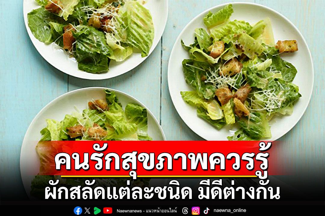 คนรักสุขภาพควรรู้ ผักสลัดแต่ละชนิด มีดีต่างกัน