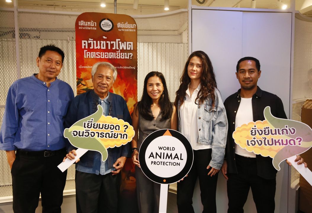 วิกฤตควันพิษข้าวโพดอาหารสัตว์ใครต้องรับผิดชอบ