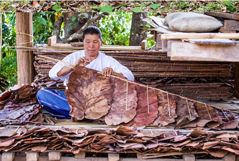 จากเกษตรสู่วงการแฟชั่น แบรนด์ Mr.Leaf  บนเส้นทางสู่การเป็นแบรนด์รักษ์โลก