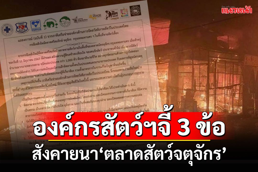 องค์กรสัตว์ฯจี้3ข้อ สังคายนา'ตลาดขายสัตว์จตุจักร'หลังไฟไหม้สลด