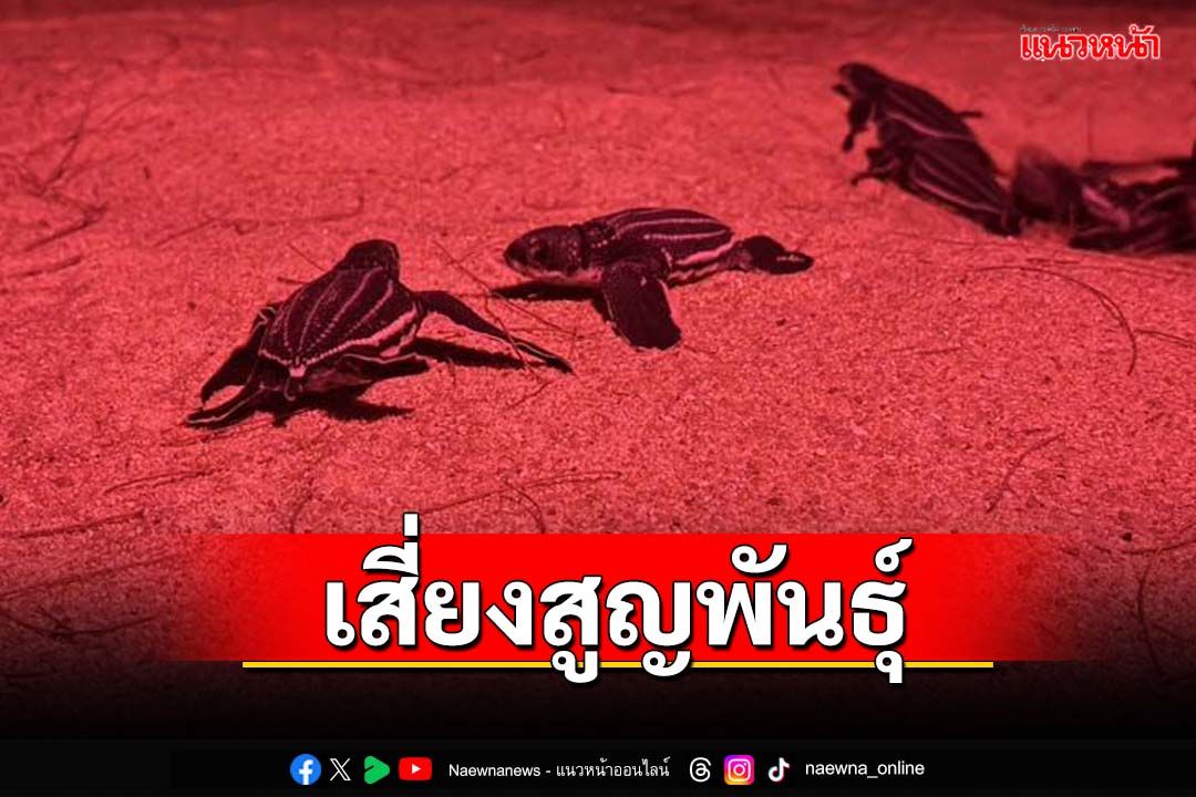 ทส.ชวนประชาชน‘ลดพลาสติก ร่วมอนุรักษ์เต่าทะเล’ พบ 5 สายพันธุ์เสี่ยงสูญพันธุ์