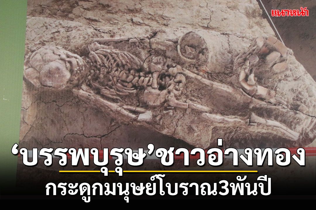 'บรรพบุรุษ'ชาวอ่างทอง! กระดูกฟอสซิลมนุษย์โบราณ3พันปี