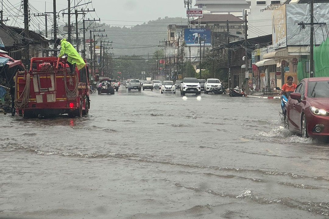 อุตุฯเตือน65จว. รับมือฝนถล่มหนัก24-26มิ.ย.  อุดรธานีพายุซัดต้นไม้ทับถนน