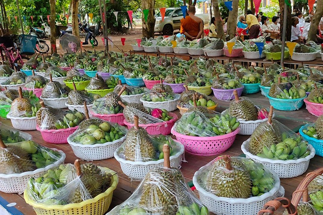 ชาวสวนทุเรียนภูเขาไฟศรีสะเกษ ทำบุญถวายผ้าป่าสลากภัตรผลไม้บูชาดินภูเขาไฟ