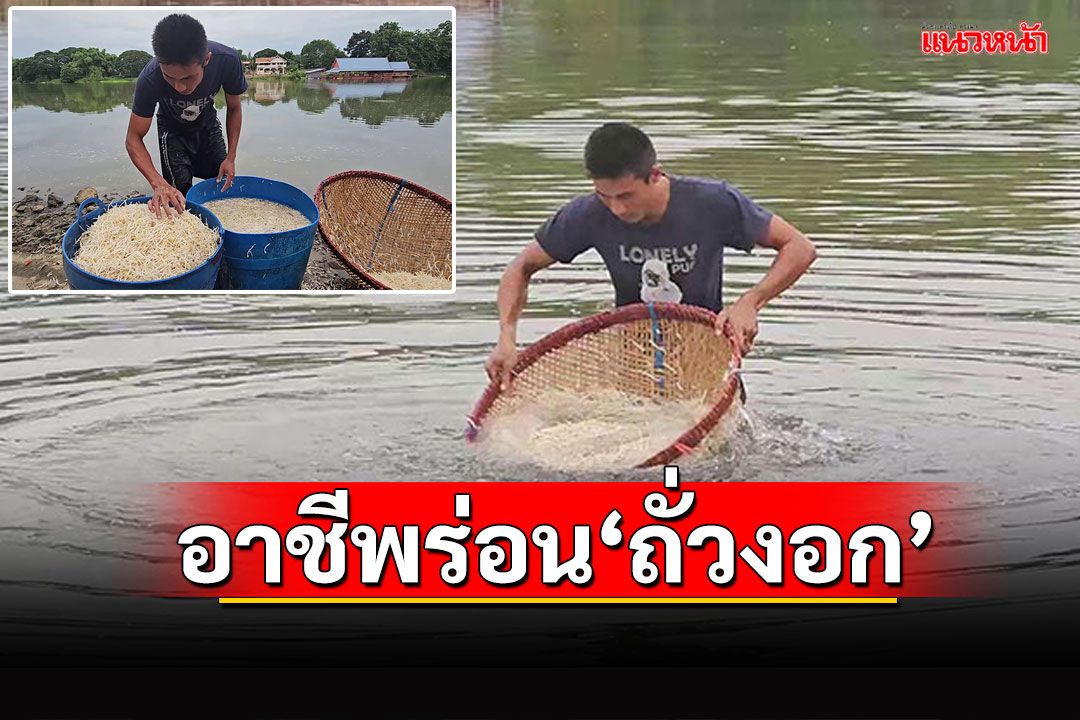 ภูมิปัญญาชาวบ้าน! อาชีพร่อน'ถั่วงอก'ในสายน้ำแม่กลอง