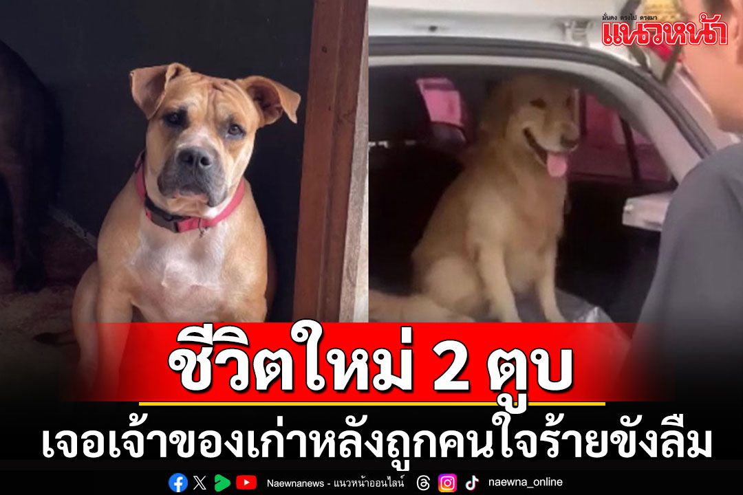 ดีใจกับ 2 เจ้าตูบถูกขังลืมในบ้านเช่า โชคดีเจอเจ้าของเก่าทั้งสองตัวแล้ว