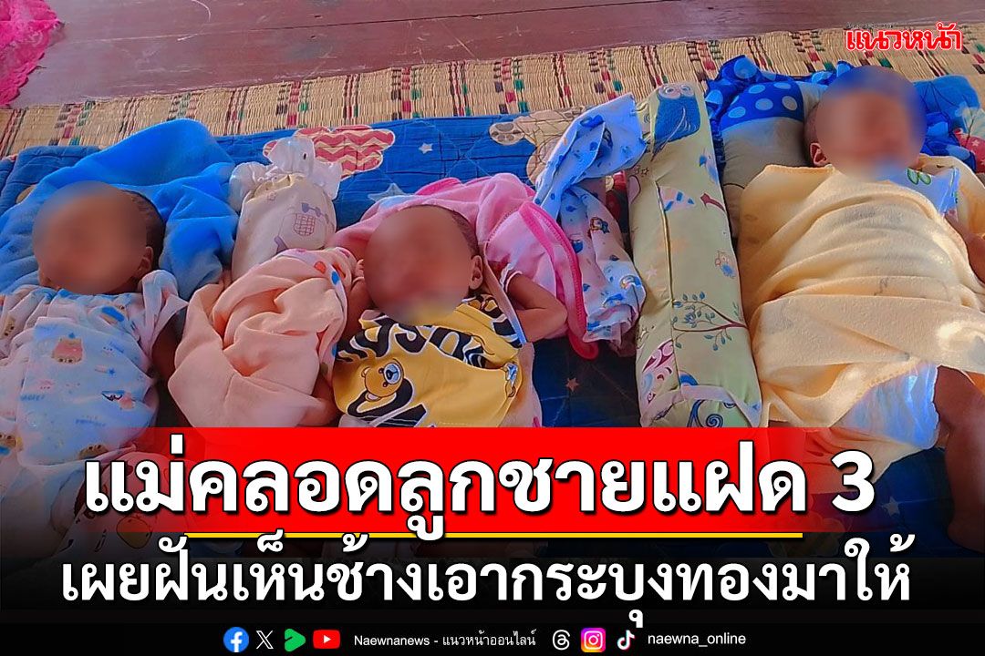 แม่คลอดลูกชายแฝด 3 เผยฝันเห็นช้างเอากระบุงทองมาให้ แห่ถามเลขบ้าน-วันคลอด