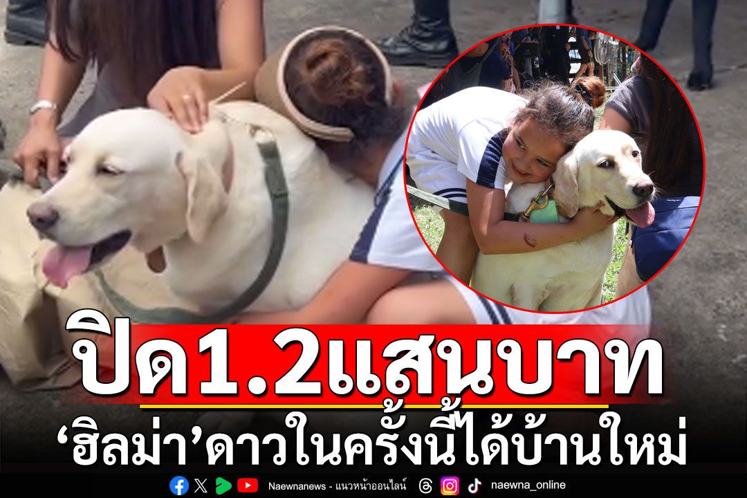 ประมูลสุนัขทหาร! 'ฮิลม่า'ดาวในครั้งนี้ได้บ้านใหม่ ปิดประมูลสูงสุด 1.2 แสนบาท