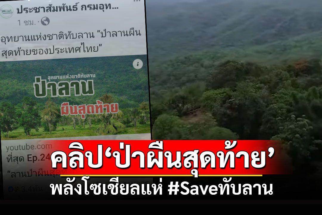 แห่ดูคลิป1นาที 'ป่าลานผืนสุดท้ายไทย' พลังโซเชียลกระหึ่ม#Saveทับลาน