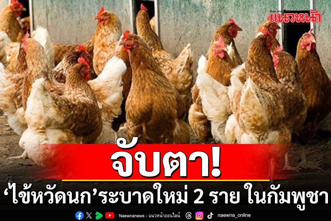 พบเด็กชาย 2 ราย ป่วยไข้หวัดนกระบาดใหม่ ประเทศกัมพูชา