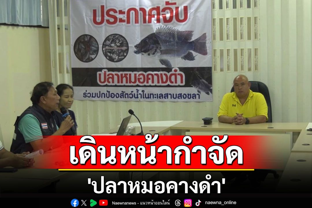 สงขลาเดินหน้ากำจัด 'ปลาหมอคางดำ' สัตว์น้ำต่างถิ่นหลังระบาดหนัก