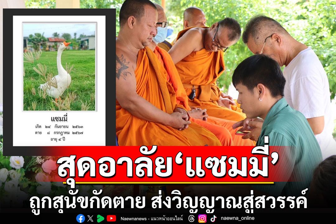 สุดอาลัย'แซมมี่'ห่านแสนรักถูกสุนัขกัดตาย เจ้าของจัดงานศพส่งวิญญาณสู่สวรรค์