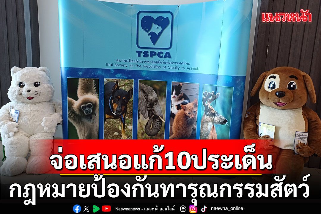 9ปี‘กฎหมายป้องกันทารุณกรรมสัตว์’ พบ‘จัดสวัสดิภาพ’ยังทำน้อยมาก เตรียมเสนอแก้10ประเด็น