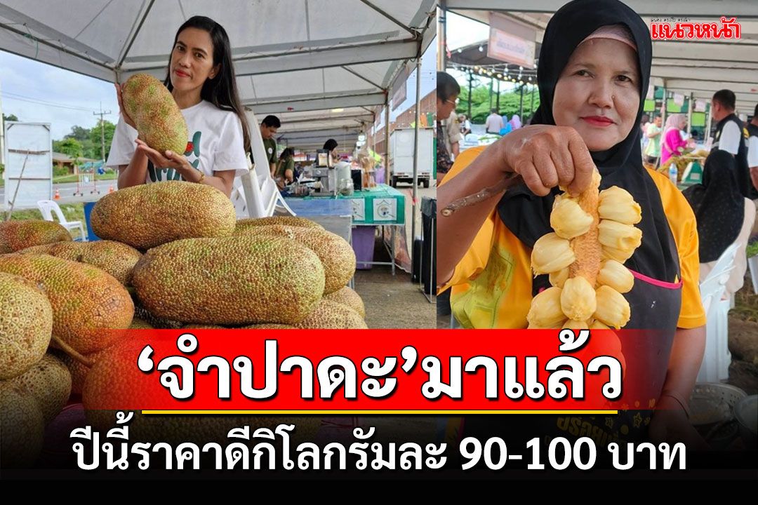 เข้าสู่ฤดู'จำปาดะ'พืช GI ประจำถิ่นสตูล เผยปีนี้ราคาดีกิโลกรัมละ 90-100 บาท