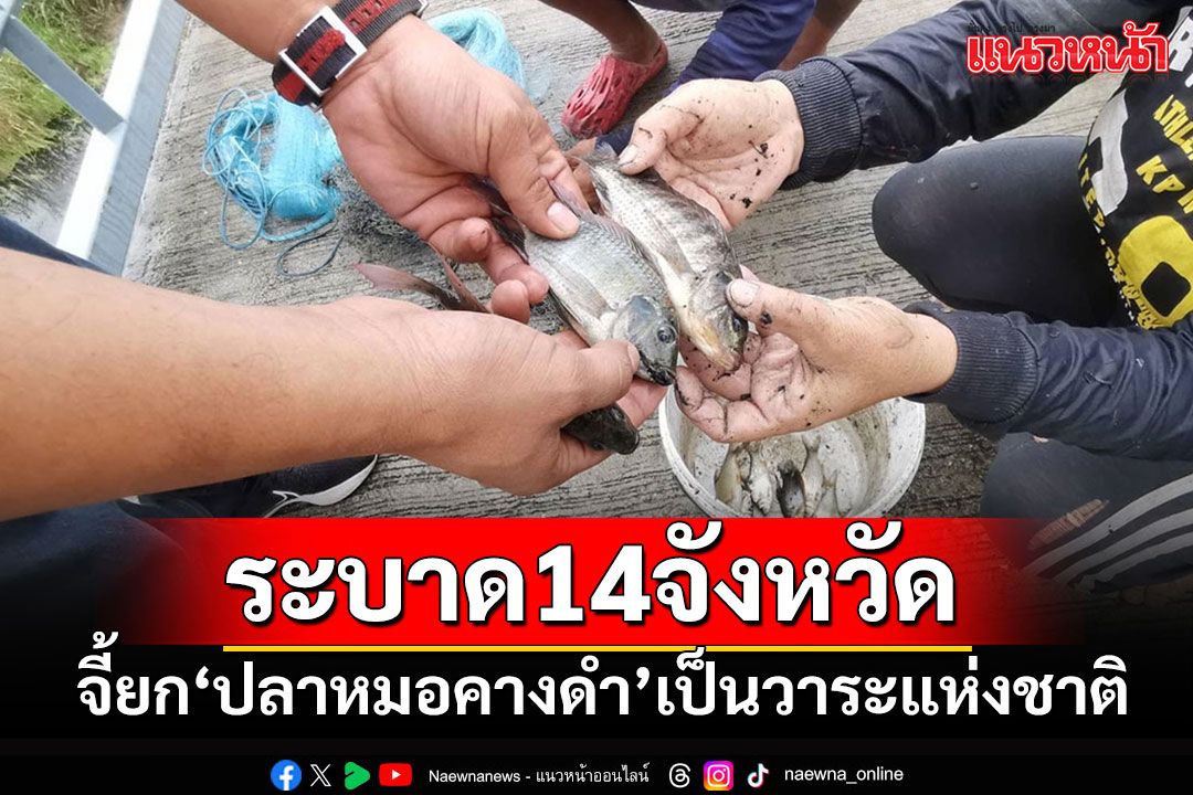 วิกฤตเอเลี่ยนสปีชีส์'ปลาหมอคางดำ' ระบาดแล้ว 14 จังหวัด จี้ยกเป็นวาระแห่งชาติ