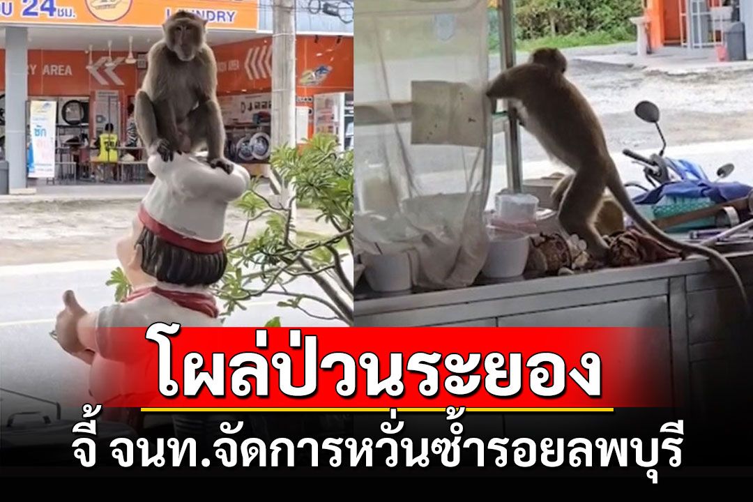 ​เจ้าจ๋อป่วนเมืองระยองบุกร้านก๋วยเตี๋ยวจกไข่ต้มกินหวั่นซ้ำรอยลพบุรีจี้ จนท.จัดการ