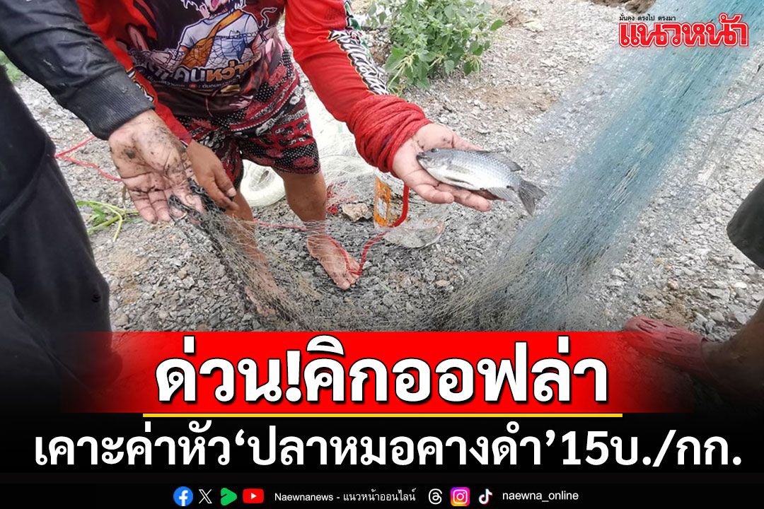 ด่วน!!! เคาะแล้วประกาศตั้งค่าหัว'ปลาหมอคางดำ'กิโลฯละ 15 บาท รับซื้อจนกว่าจะหมด
