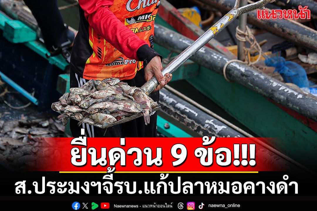 สมาคม​การประมงฯ ยื่น 9 ข้อรัฐบาล จี้แก้ปัญหา'ปลาหมอคางดำ'อย่างเร่งด่วน