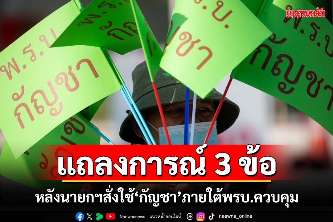 ‘เครือข่ายฯ’แถลงการณ์ 3 ข้อ หลังนายกฯสั่งใช้‘กัญชา’ภายใต้พ.ร.บ.ควบคุม