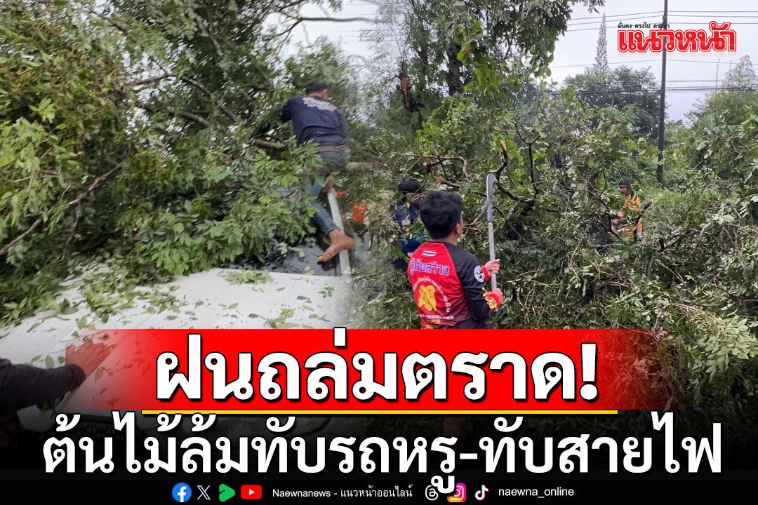 ฝนถล่มตราด! ต้นไม้ใหญ่ล้มทับรถหรูป้ายแดง ขวางถนน-ทับสายไฟกว่า 10 จุด