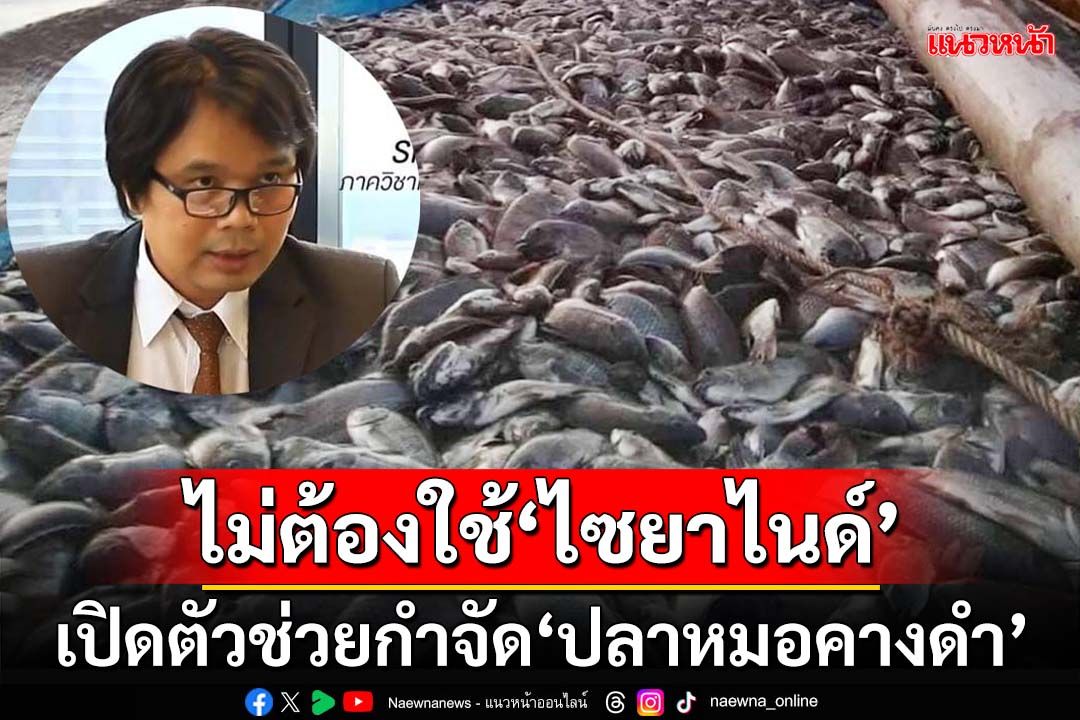 ไม่ต้องใช้ไซยาไนด์! ‘อ.อ๊อด’แนะใช้สารสกัดธรรมชาติ‘โรทิโนน’ ปราบ‘ปลาหมอคางดำ’