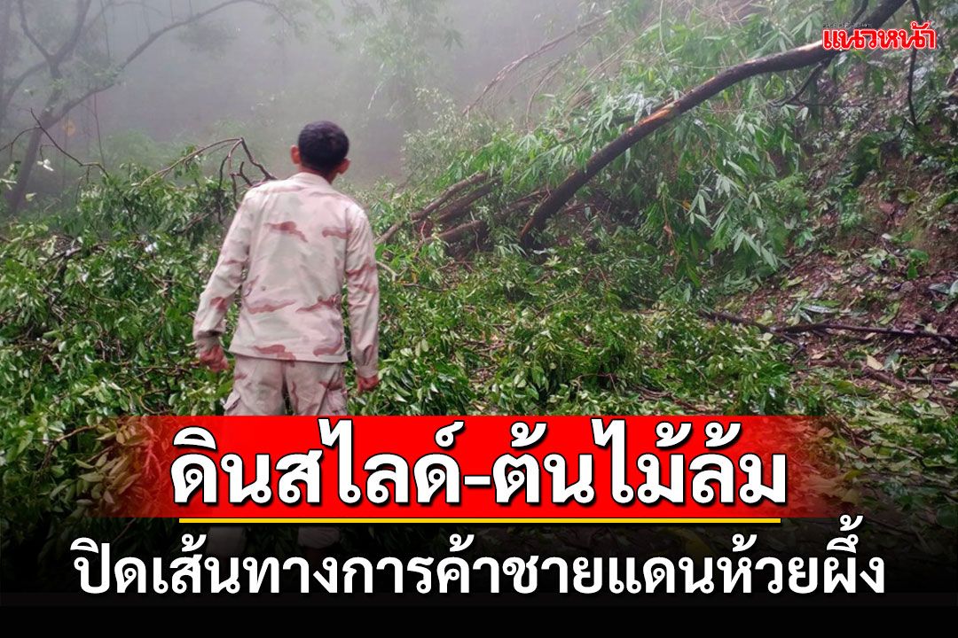 การค้าชายแดนแม่ฮ่องสอนชะงัก! ดินภูเขาสไลด์ต้นไม้ล้มปิดเส้นทางเข้าห้วยผึ้ง